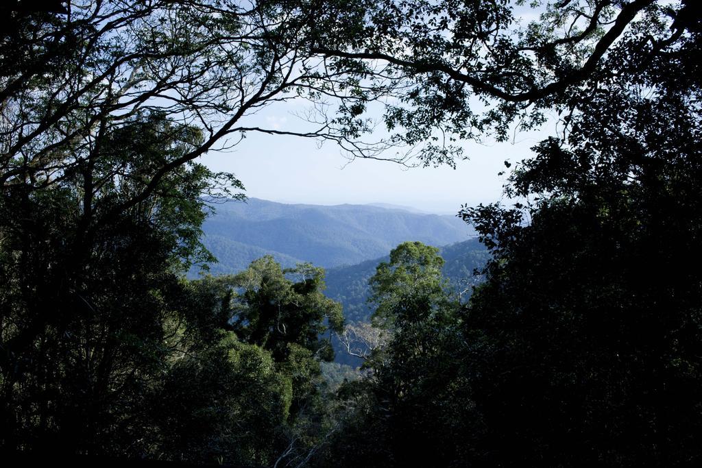 Mt Glorious Getaways Villa Mount Glorious Exterior photo